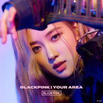 BLACKPINK JŪSŲ SRITYJE Spaudos ribotas leidimas (ROŽĖ ver.) (Pirmas leidimas)