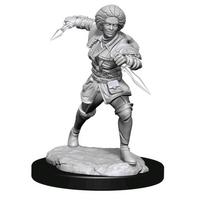 Magic the Gathering Nedažytos Miniatiūros: Kaya