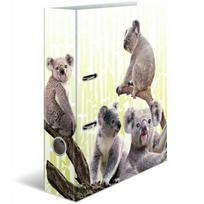 Herma gyvūnų motyvo aplankas A4 (Koala)