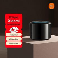 Xiaomi Sound Hi-Fi Smart Speaker CN plug (adapter included) (CN version)