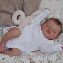 Ribbondoll Berenguer lėlės tikros silikoninės mažylio naujagimio rinkinio rinkinys babydoll priedas po gimdymo priežiūros centro praktinė patirtis, Rosalie gray
