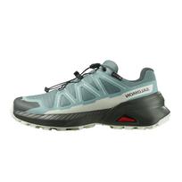 [Salomon] Bėgimo takais batai SPEEDCROSS PEAK GORE-TEX MOTERIMS (Speedcross Peak Gore-Tex) Moterų L47974500 Trooper/Tourmaline/Clearly Aqua 25,0 cm gray