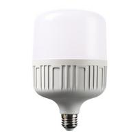 Saifanlu 100W E27 LED lemputė