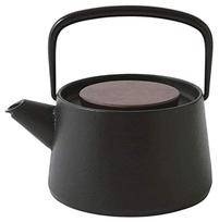 Ikenaga Iron Works Teapot Nanbu Ironware Made in Japan tetu 0.56L gray