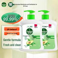Dettol Healthy Antibacterial Hand Soap (Plant Care) green