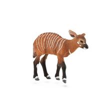CollectA Bongo veršelio figūrėlė (Vidutinis)