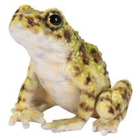 Woobia Ishikawa's Frog, Green-Brown, 8 x 8 x 7 cm, Figurine, Ornament, Animal, Garden Decoration, Realistic, Cute Frog, H20221 beige