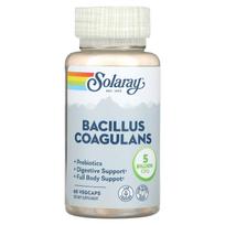 Solaray, Bacillus Coagulance, 5 milijardai, 60 daržovių kapsulių (2,5 mlrd. už kapsulę)