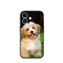 Dengalas Mielas pudelis Šuo Augintinis Samsung Galaxy A25 A37 A57 A12 A14 A31 A41 A50 A51 A70 A71 A72 A21S A04 M15 Note 20 9 8 10 Dėklas Galaxy Note10
