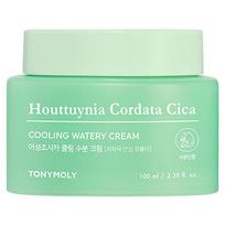 Tony Moly Eoseong Chocica Cooling Moisture Cream, 100ml, 1 unit white