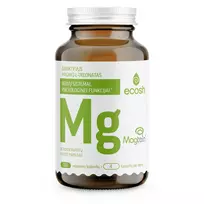 ECOSH Magtein® magnio L-treonatas, 36 mg, 120 kapsulių