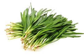 150 kiniškų vasarinių svogūnų sėklų – aromatingas augalas – daržovės – dauginamos valstiečių sėklos – SemiSauvage