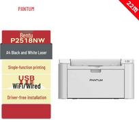 Pantum P2518NW A4 Black & White Laser Printer CN plug (adapter included)