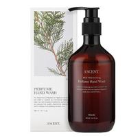 Ascent Perfume Hand Wash Hinoki, 300ml, 1 unit gray