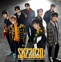SKZ2020 Stray Kids (Reguliarus leidimas) (2 CD) -