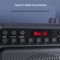 SANSUI V53 Portable Bluetooth Speaker with FM Radio and Bass (CN version)