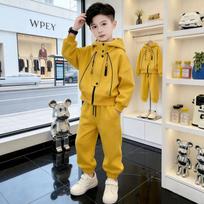 Boys Spring Autumn Two Piece Tracksuit Set 170cm geltona