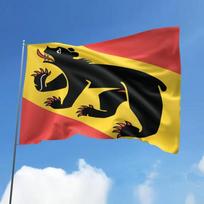 A Bernese Flag, Made of Vibrant, Durable Polyester, Suitable for Both Indoor and Outdoor Use. Ideal for Holiday Parades, Celebrations, Anniversaries, 60x90cm black