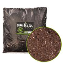 Terrarium Substrate for Tortoises, Natural, Absorbent, 6L