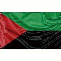 Martinique Flag (French Territory) - Vibrant Green, Red, And Black Design, Durable, 91.44 X 152.4 cm, Perfect for Outdoor Decor, Gardens, And Terraces 60x90cm green