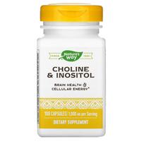 Nature's Way, Cholinas ir inozitolis, 1000 mg, 100 kapsulių (500 mg vienoje kapsulėje)