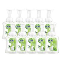 Dettol Foaming Hand Wash Apple Blossom, 250ml, 10 units white