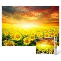 1000 piece jigsaw puzzle / Dreamy sunset in a sunflower field, popular Korean puzzle yellow