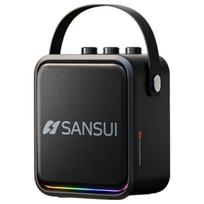 SANSUI T91 Portable Outdoor Karaoke Bluetooth Speaker (CN version)
