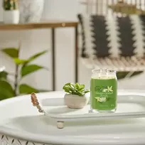 Yankee Candle Didelė kvapni žvakė Vanilė ir laimas 567 g