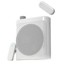 Good Shepherd Portable Bluetooth Voice Amplifier with Wireless Lavalier Microphone (CN version)