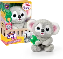 Little Live Pets - My Baby Koala (26840)