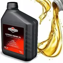 VARIKLIO ALYVA BRIGGS & STRATTON SAE 30 1,4 L – 100006E Originali prekė