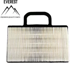 ORO FILTRAS BRIGGS&STRATTON INTEK 2 CILINDRŲ EVEREST