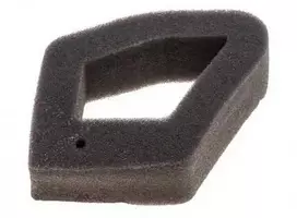 ORO FILTRAS KINIETIŠKO TRIMERIO 4-suw HONDA GX35