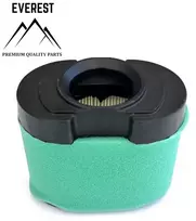 ORO FILTRAS BRIGGS&STRATTON 2 VALCE OHV NAUJO MODELIO