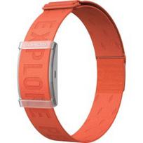 COROS Heart Rate Monitor, Orange priedas 800619