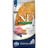Farmina N-D Ancestral Grain Puppy Medium - Maxi Lamb - Blueberry sausas maistas vidutinių ir didelių veislių šuniukams, 20 kg