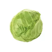 Kopūstai CLEVER