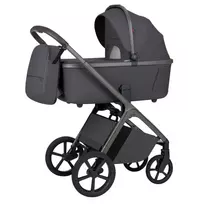 2in1 vežimėlis Carrello Vector CRL-6553, Plum Grey