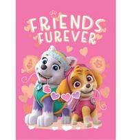 Paw Patrol Friends Forever Vaikiškas pledas 100x140 cm