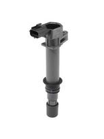 BorgWarner (BERU) ZS605 Ritė, uždegimas