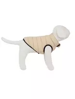 Peppy Buddies Peppy Buddy - Ultra light dog jacket XXS, rusvai gelsvas 25 cm
