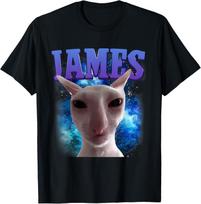 James The Cat Meme Funny Silly Cats Brainrot Meme Cat Lover Men unisex T-Shirt Unisex T-Shirt L blue