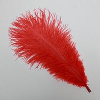 15-75cm Raudonos stručio plunksnos vestuvių praėjimo puošmenoms, stalo dekoracijoms, sienų menui, scenos rekvizitams red