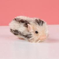 Cute Reborn Piglet Full Body Silicone Dolls Toy Lifelike Reborn Pet Piglet Toy Newborn Doll Squishy Fidget Kids Collectible Gift