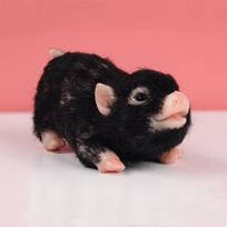 Cute Reborn Piglet Full Body Silicone Dolls Toy Lifelike Reborn Pet Piglet Toy Newborn Doll Squishy Fidget Kids Collectible Gift