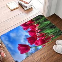 Very Beautiful Red Tulip Printing Non-Slip Small Rug Waterproof Easy Clean Floor Mat for Indoor Outdoor Use Durable Home Decor 30x50cm blue