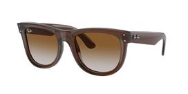 Ray-Ban Sunglasses RBR0502S WAYFARER REVERSE Transparent Brown Clear Gradient Brown Lens Low Bridge Fit Regular Imports brown