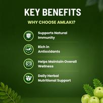 Pure Nutrition Amalaki Tablets | Amla Tablets | Amla Supplement Rich in Natural Vitamin C for Immunity, Antioxidant Support, Skin & Daily Wellnes