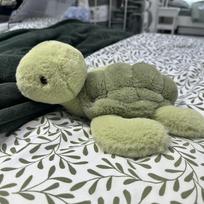 Cute cute little turtle doll plush toy green turtle doll children's soothing rag doll birthday gift 28cm gray